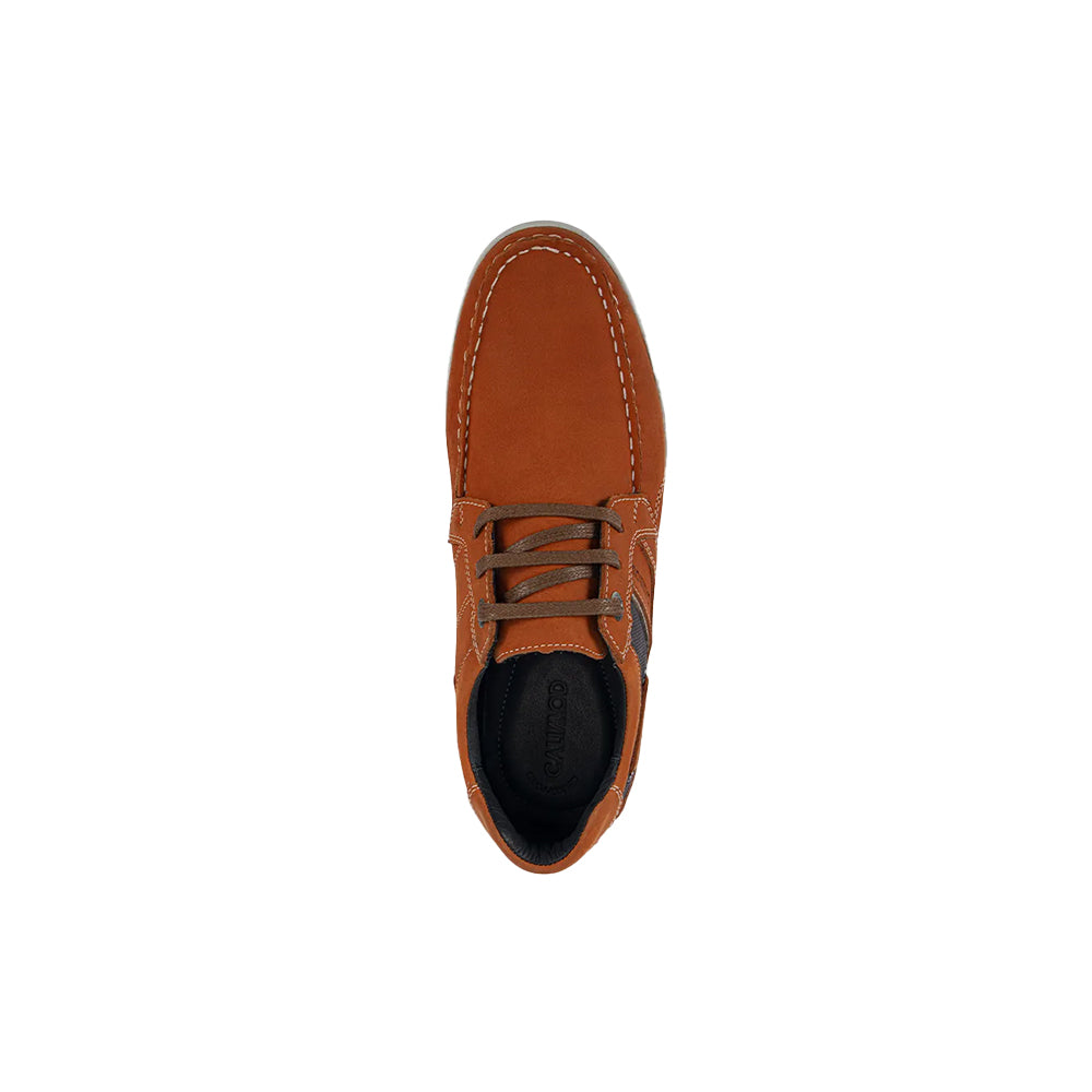 Zapato Calimod CTK001